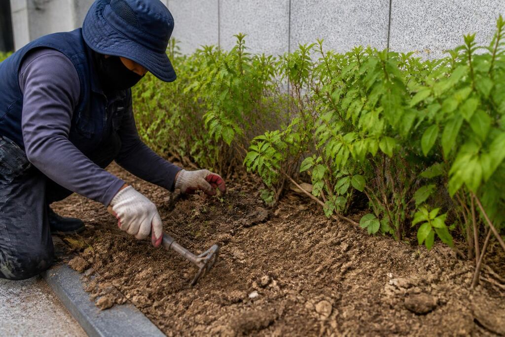 서울 송파구 화단 조성·관리 작업 범위와 현장 조건 이미지