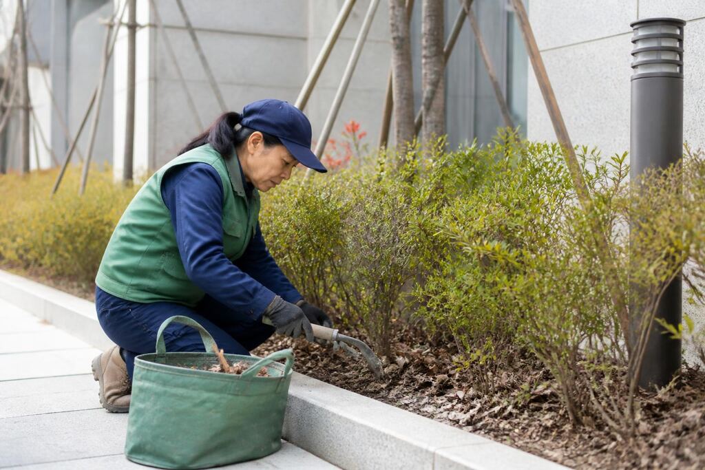 서울 구로구 정원 관리 작업 범위와 현장 조건 이미지