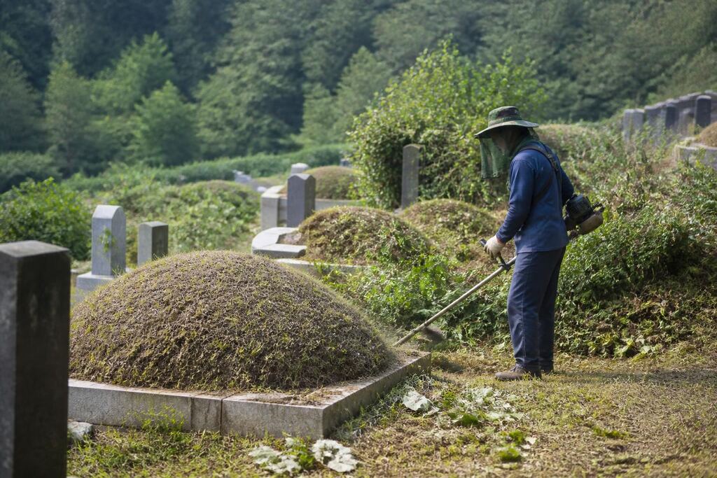 서울 중구 묘지 주변 정리 작업 범위와 현장 조건 이미지