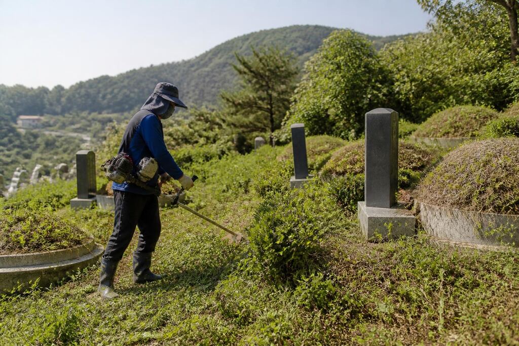 서울 성동구 묘지 주변 정리 이미지