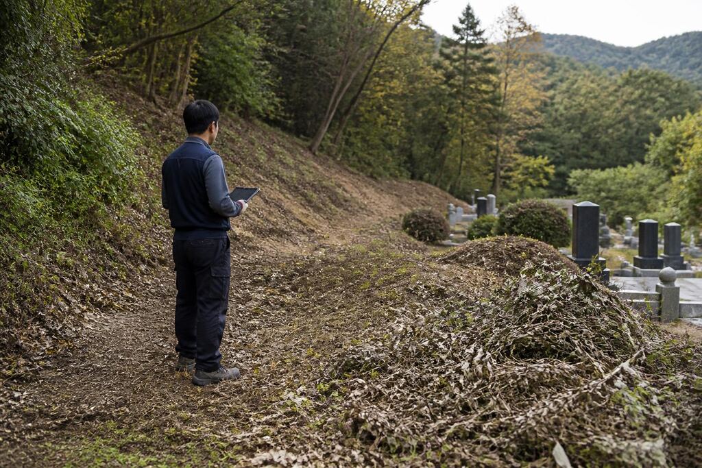 서울 성동구 묘지 주변 정리 작업 범위와 현장 조건 이미지