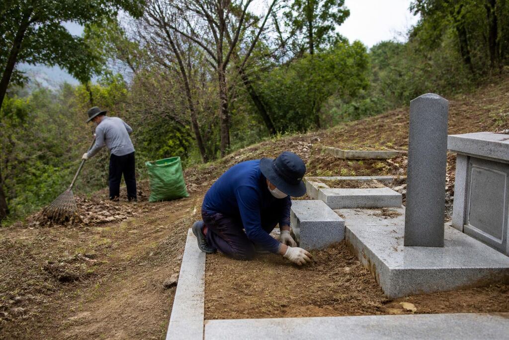 서울 동대문구 묘지 주변 정리 작업 범위와 현장 조건 이미지