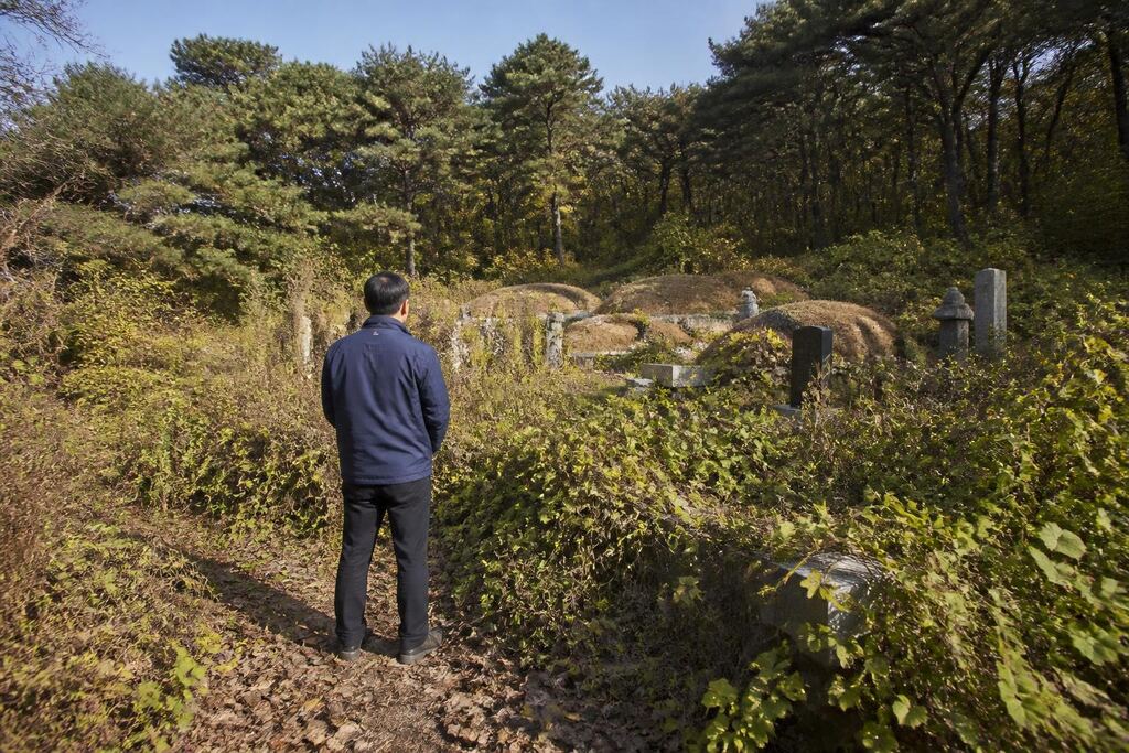 서울 도봉구 묘지 주변 정리 작업 범위와 현장 조건 이미지