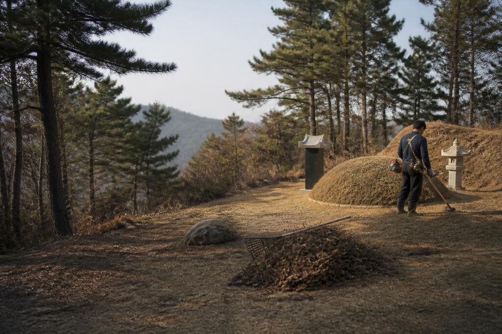 서울 도봉구 묘지 주변 정리 비용과 업체 비교 정보 이미지