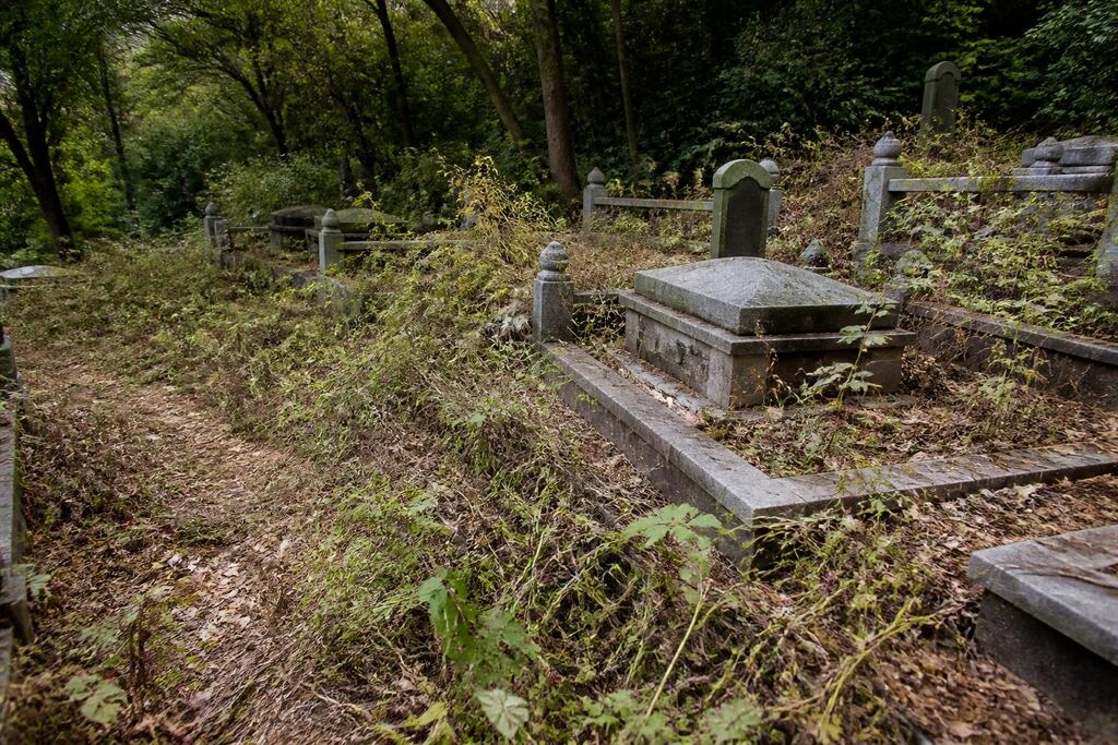 서울 노원구 묘지 주변 정리 작업 범위와 현장 조건 이미지