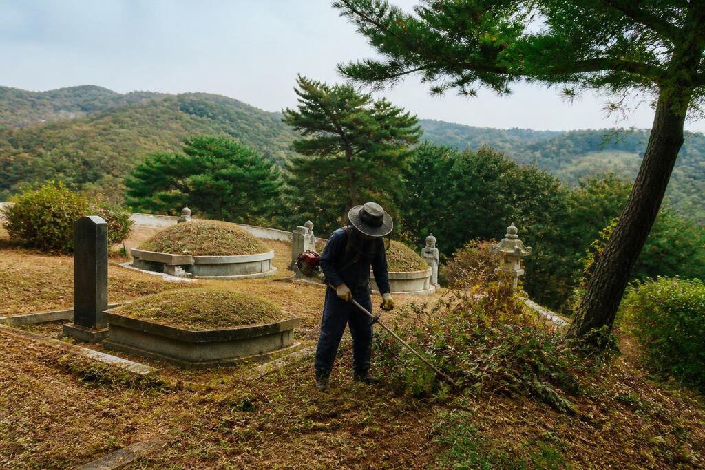 서울 마포구 묘지 주변 정리 이미지