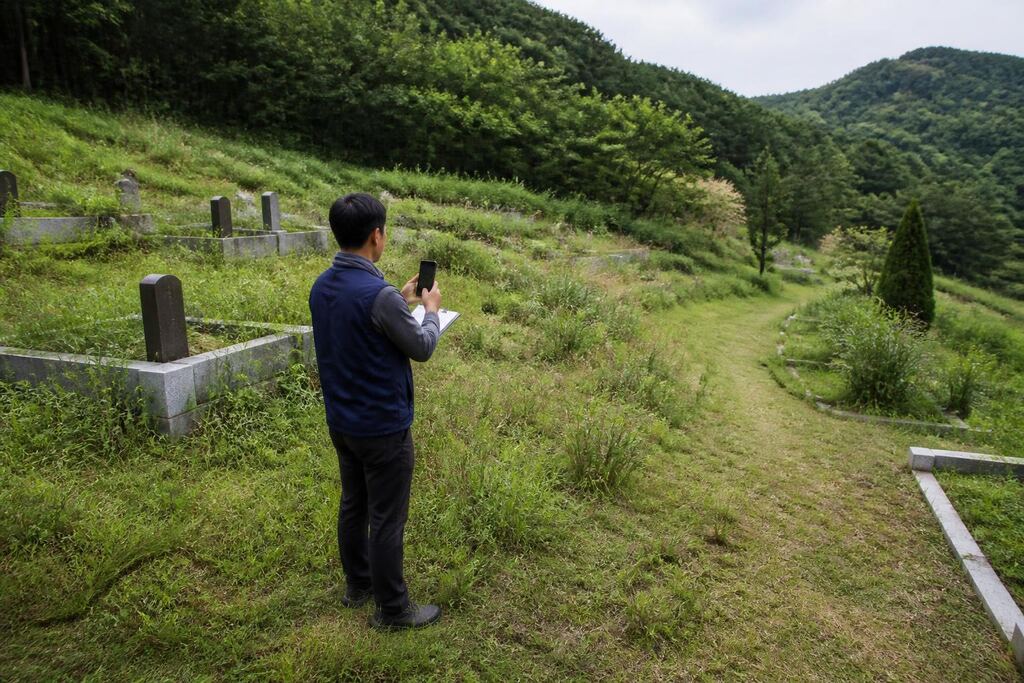 서울 마포구 묘지 주변 정리 작업 범위와 현장 조건 이미지