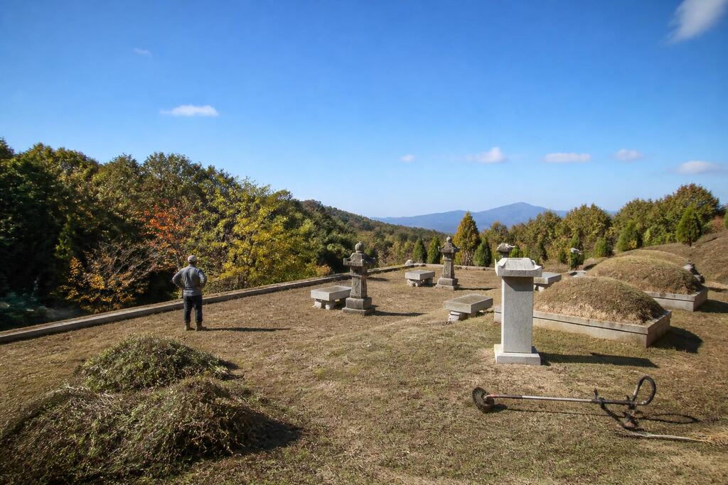 서울 마포구 묘지 주변 정리 비용과 업체 비교 정보 이미지