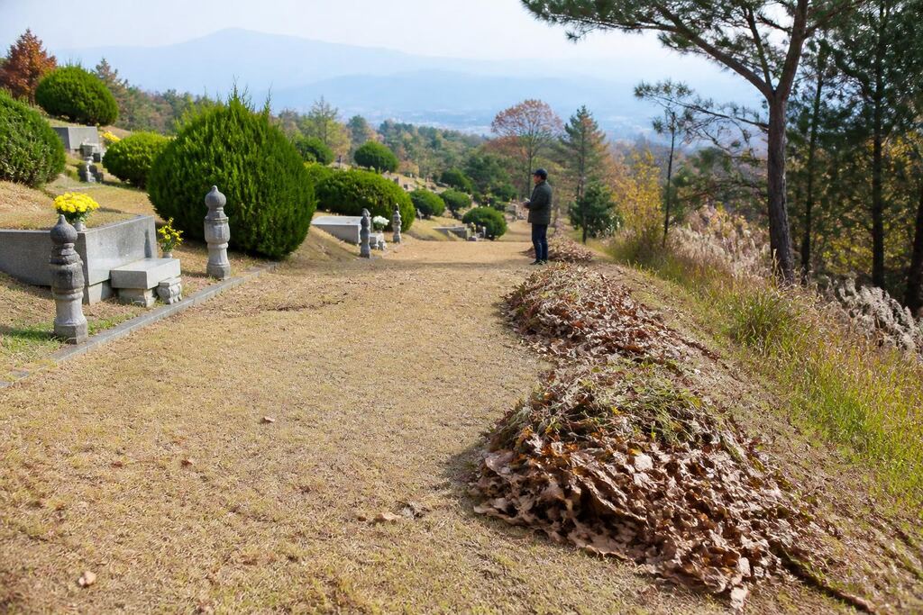 서울 양천구 묘지 주변 정리 비용과 업체 비교 정보 이미지