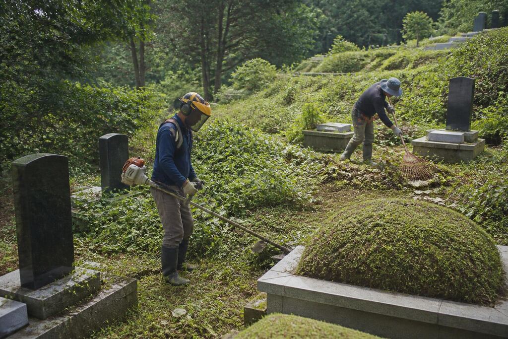 서울 구로구 묘지 주변 정리 작업 범위와 현장 조건 이미지