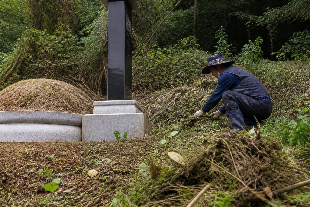 서울 금천구 묘지 주변 정리 작업 범위와 현장 조건 이미지