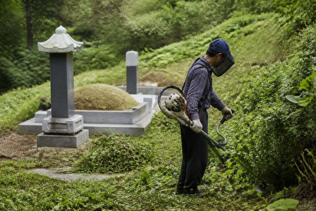 서울 영등포구 묘지 주변 정리 작업 범위와 현장 조건 이미지