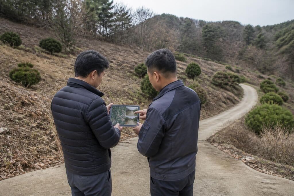 서울 영등포구 묘지 주변 정리 비용과 업체 비교 정보 이미지