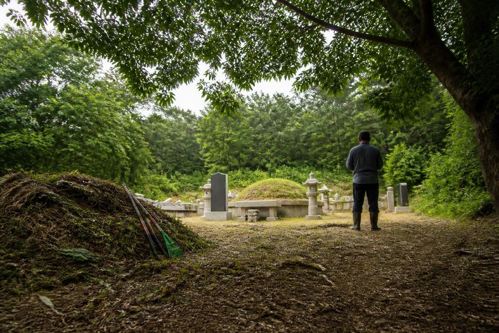 서울 관악구 묘지 주변 정리 비용과 업체 비교 정보 이미지