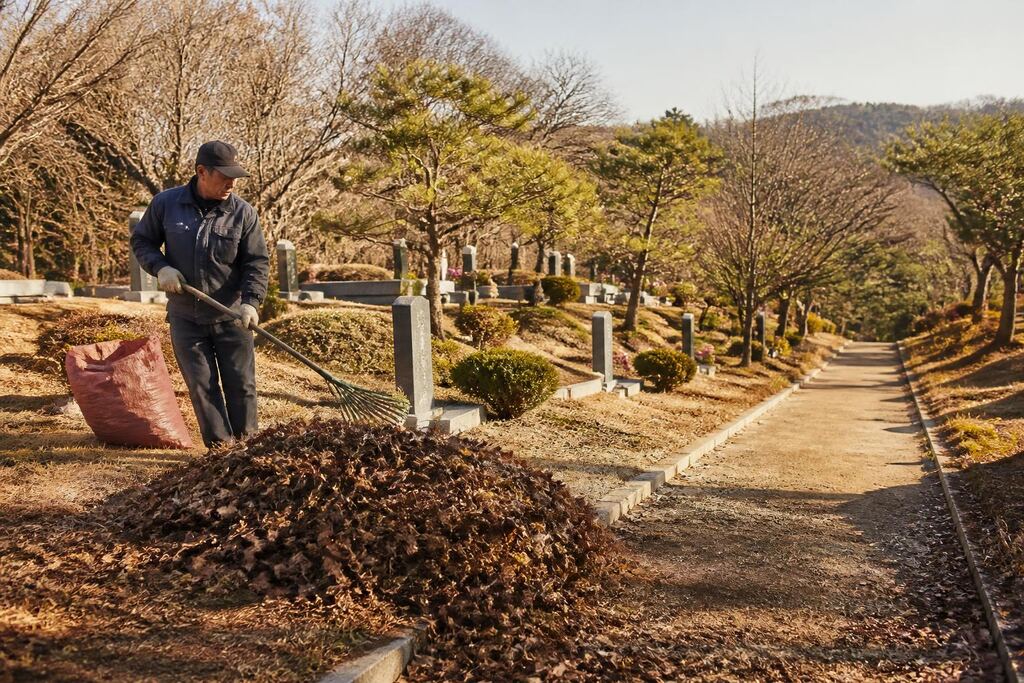 서울 서초구 묘지 주변 정리 비용과 업체 비교 정보 이미지