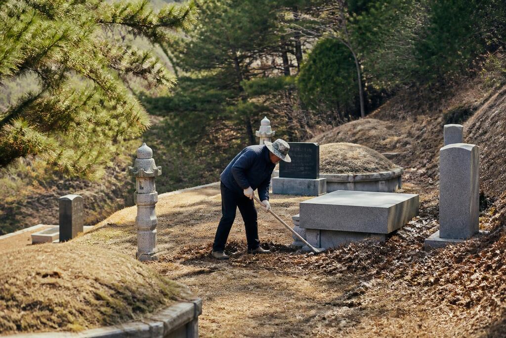 서울 강남구 묘지 주변 정리 작업 범위와 현장 조건 이미지