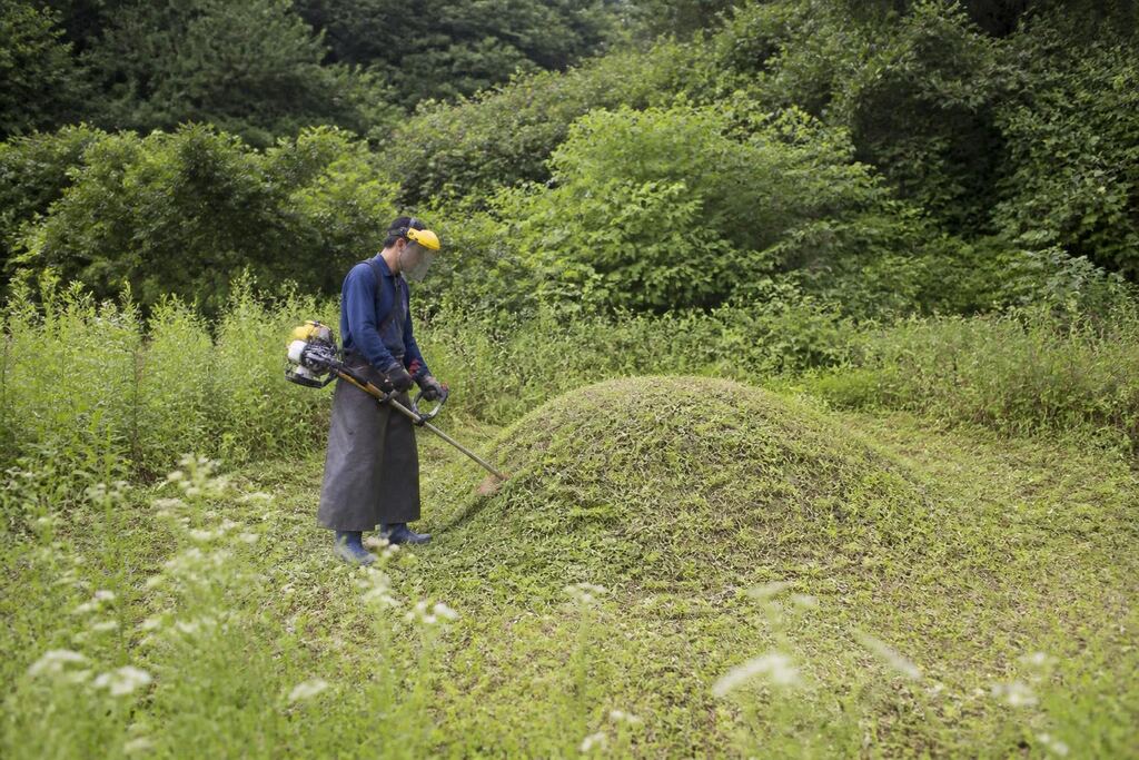 서울 성동구 벌초 이미지