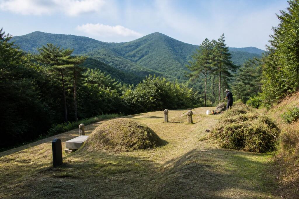 서울 동대문구 벌초 비용과 업체 비교 정보 이미지