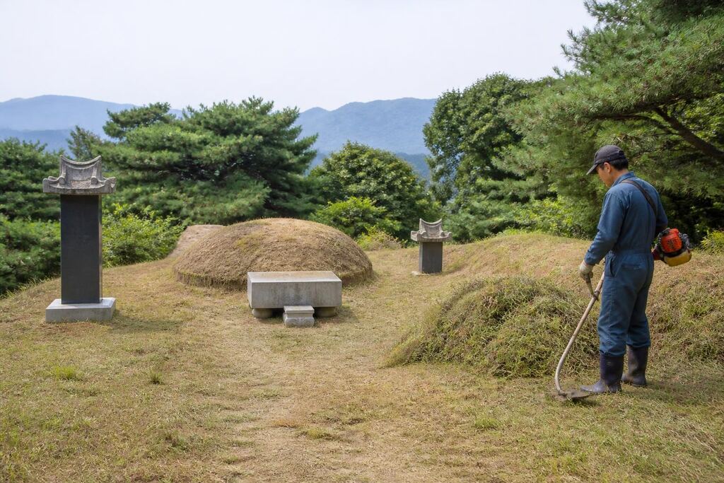 서울 도봉구 벌초 비용과 업체 비교 정보 이미지