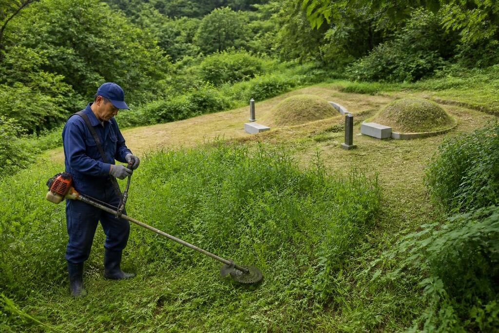 서울 서대문구 벌초 이미지