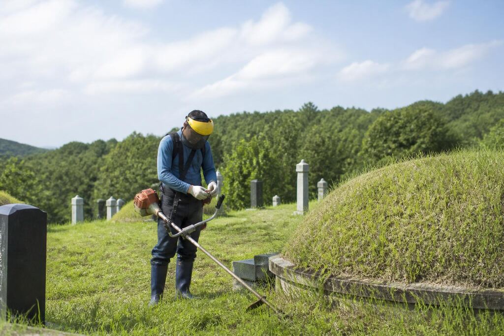 서울 강서구 벌초 이미지