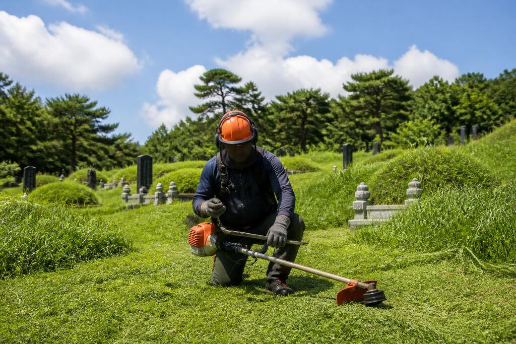 서울 구로구 벌초 이미지