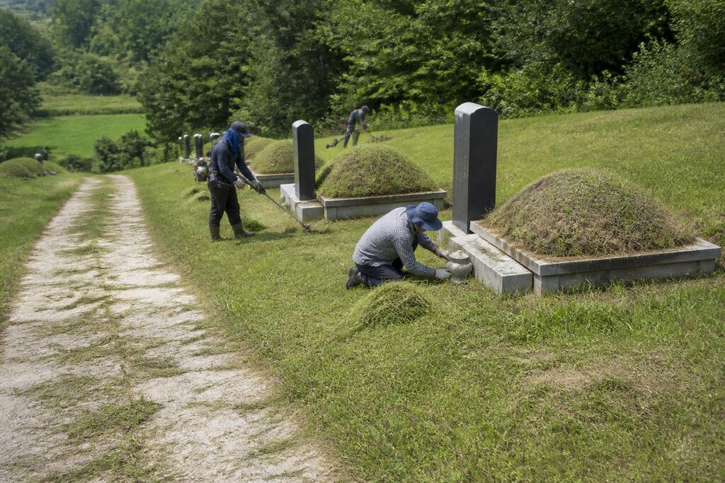 서울 구로구 벌초 작업 범위와 현장 조건 이미지