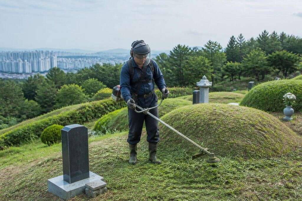 서울 영등포구 벌초 이미지
