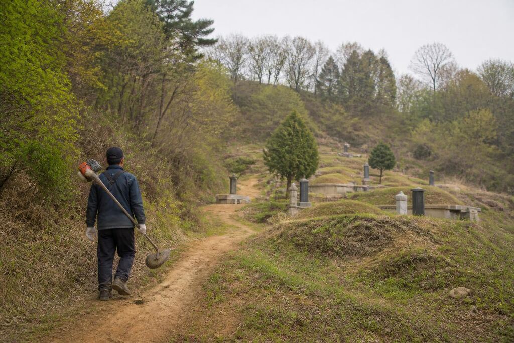 서울 동작구 벌초 작업 범위와 현장 조건 이미지