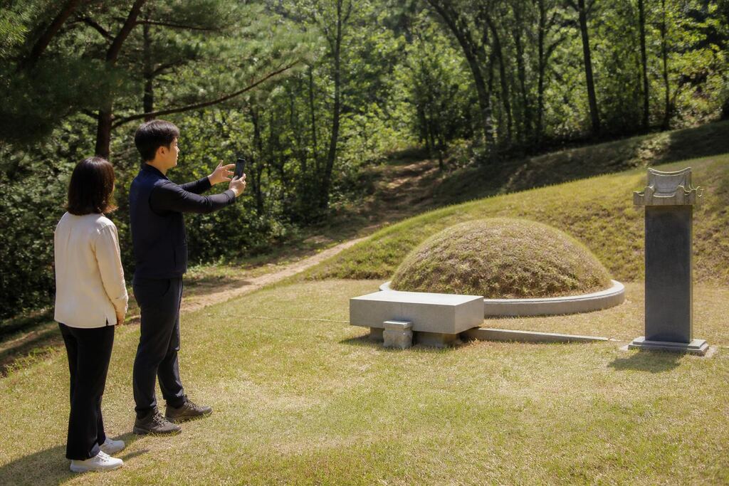 서울 관악구 벌초 비용과 업체 비교 정보 이미지