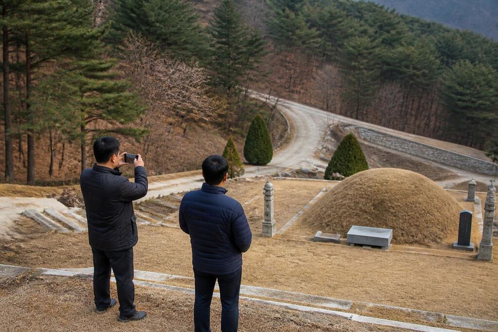 서울 강남구 벌초 작업 범위와 현장 조건 이미지
