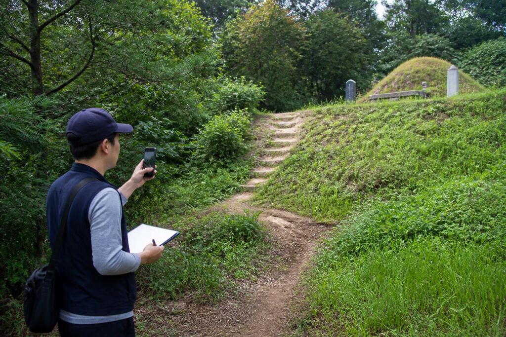 서울 송파구 벌초 작업 범위와 현장 조건 이미지