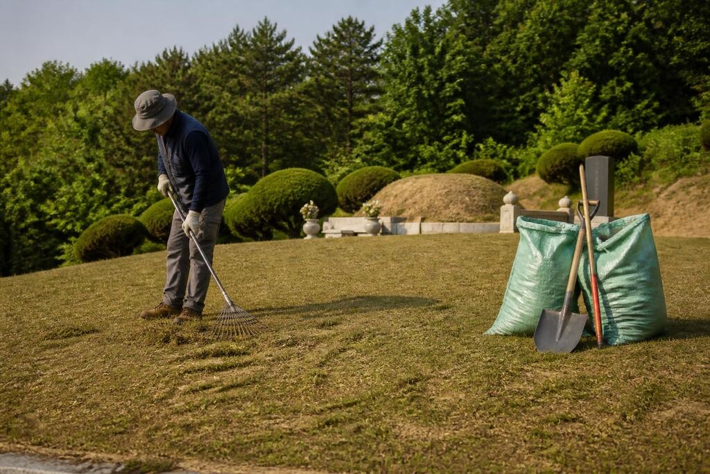 서울 중구 묘지 정기관리 비용과 업체 비교 정보 이미지