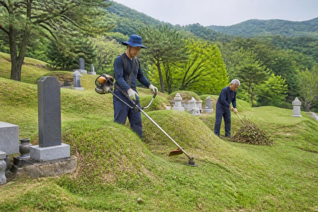 서울 노원구 묘지 정기관리 작업 범위와 현장 조건 이미지