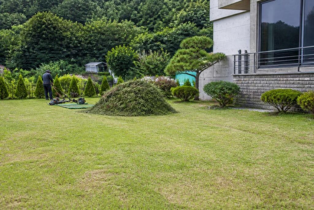 서울 중랑구 잔디 관리 비용과 업체 비교 정보 이미지