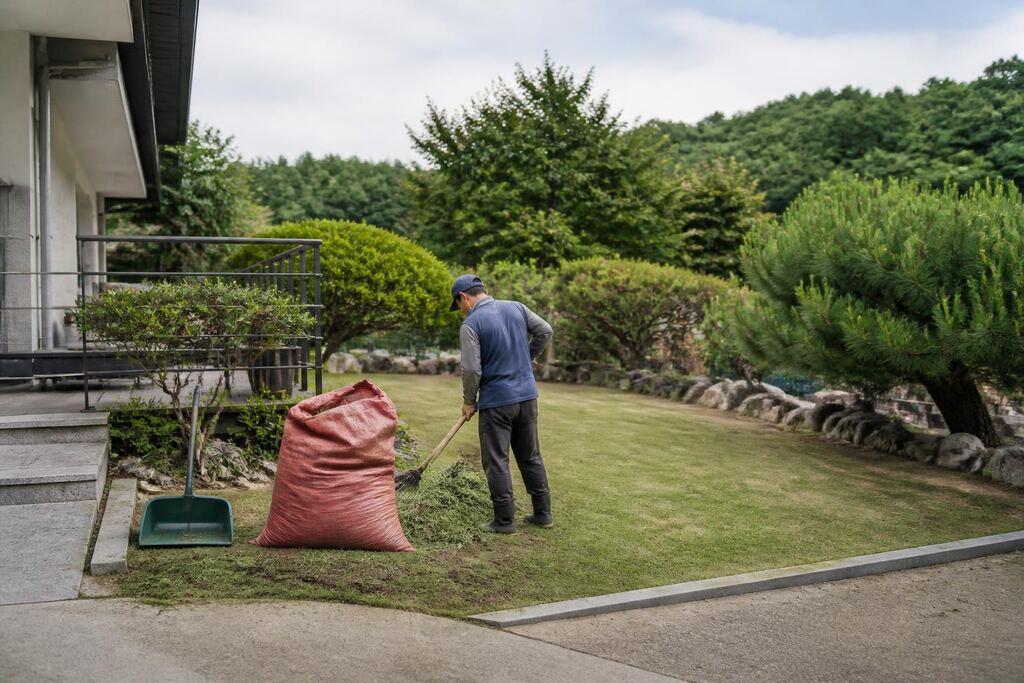 서울 양천구 잔디 깎기 비용과 업체 비교 정보 이미지