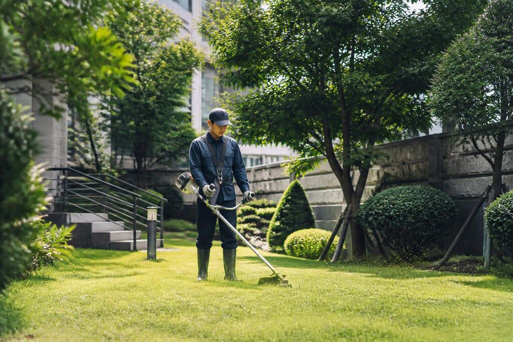 서울 동작구 잔디 깎기 이미지
