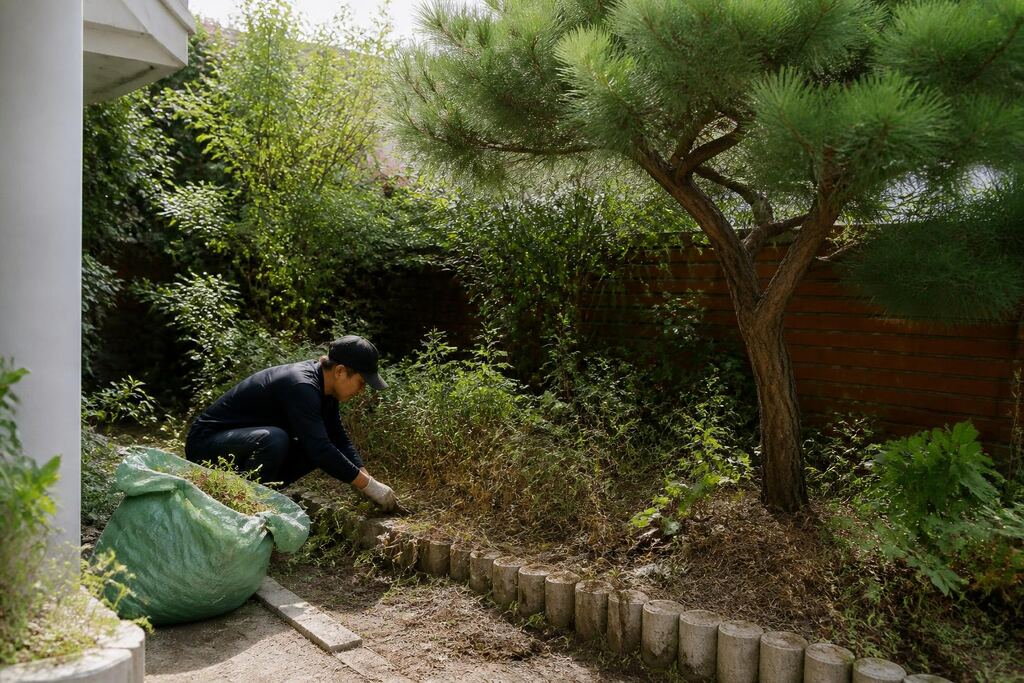 서울 도봉구 정원 정리·복구 작업 범위와 현장 조건 이미지