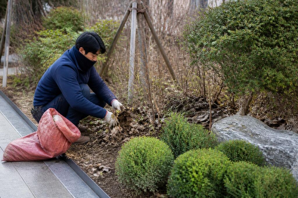 서울 금천구 정원 정리·복구 작업 범위와 현장 조건 이미지