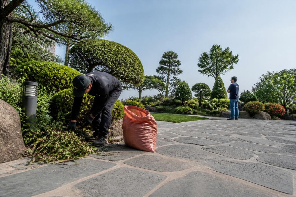 서울 용산구 수목 정리 비용과 업체 비교 정보 이미지