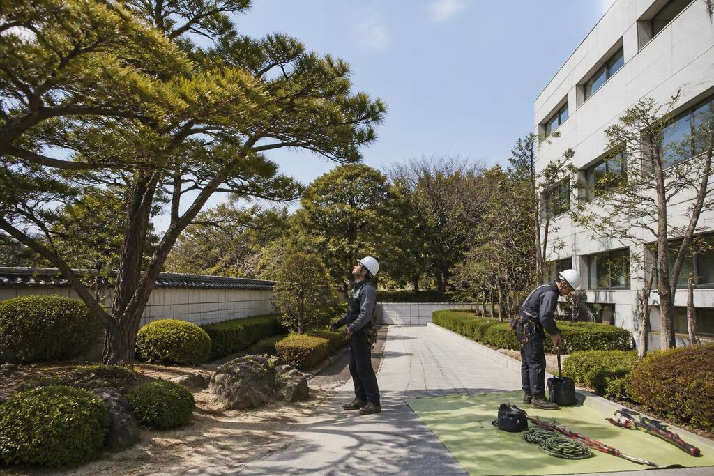 서울 성동구 수목 정리 작업 범위와 현장 조건 이미지