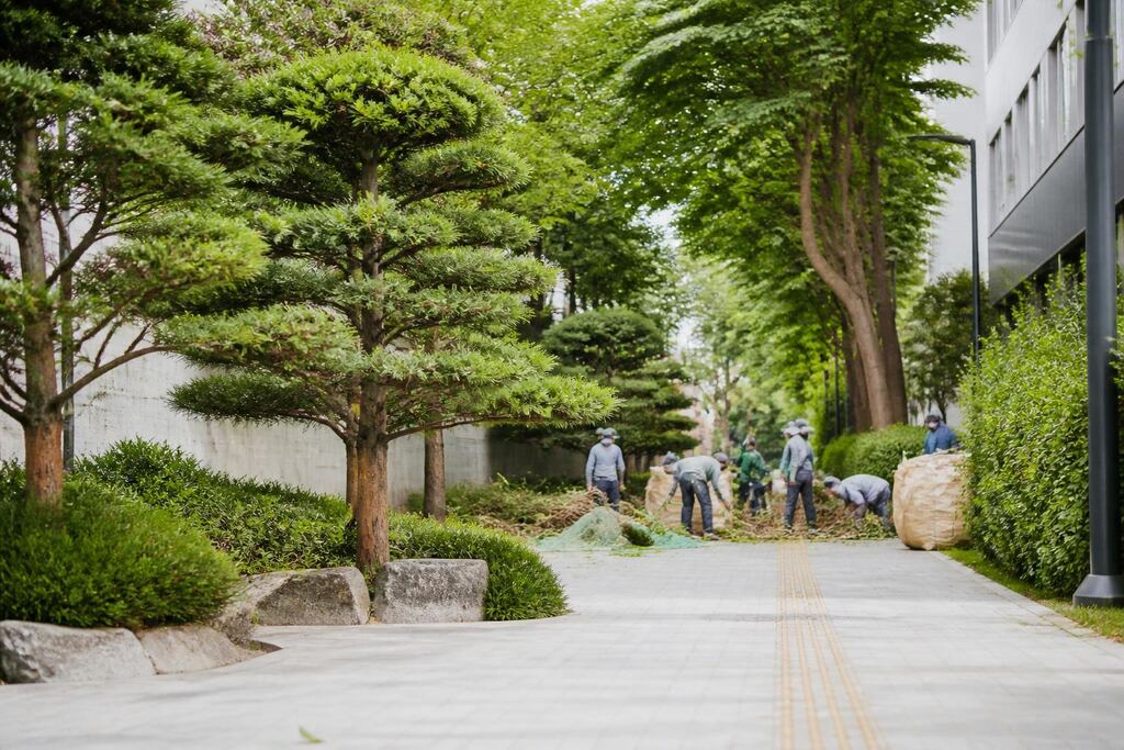 서울 중랑구 수목 정리 비용과 업체 비교 정보 이미지