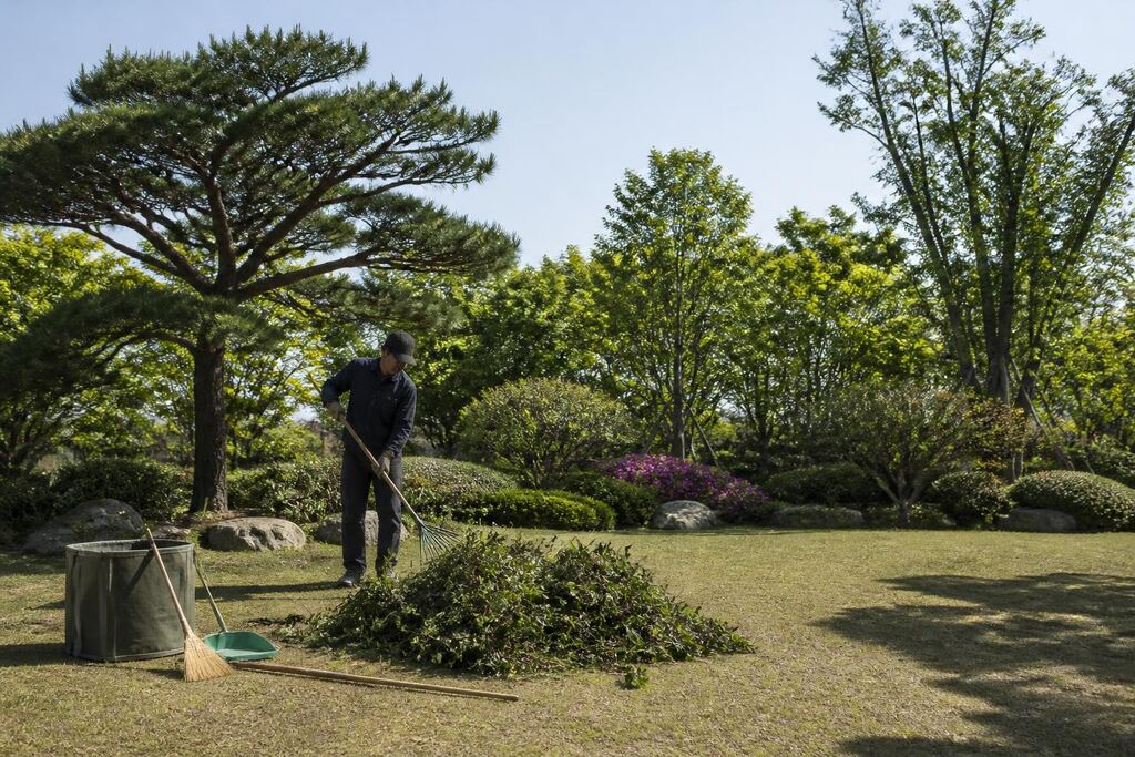 서울 강서구 수목 정리 비용과 업체 비교 정보 이미지
