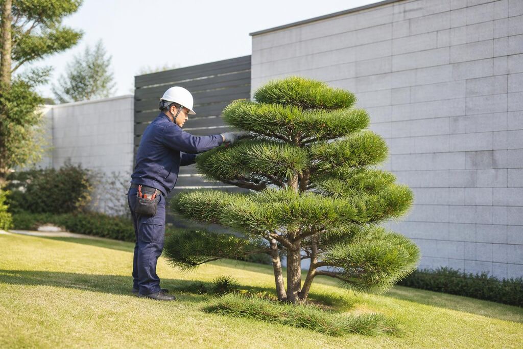 서울 구로구 수목 정리 이미지