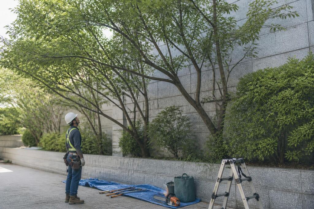 서울 영등포구 수목 정리 작업 범위와 현장 조건 이미지