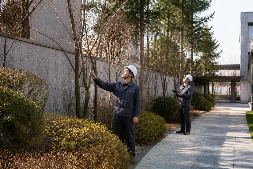 서울 강남구 수목 정리 작업 범위와 현장 조건 이미지