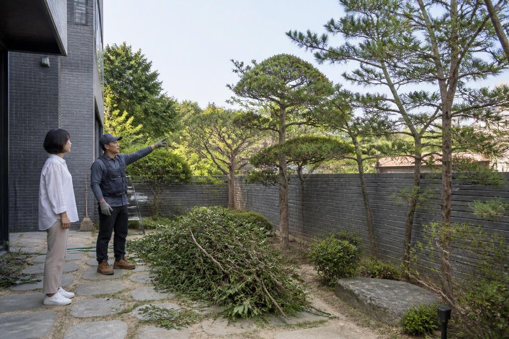 서울 중랑구 나무 전지·전정 비용과 업체 비교 정보 이미지