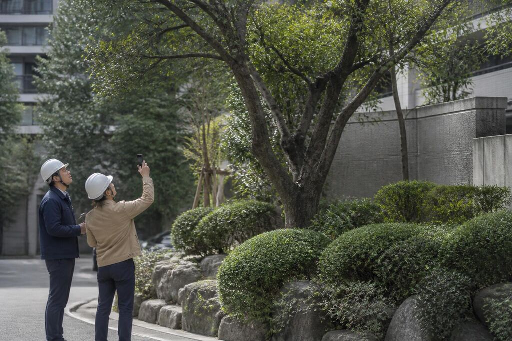 서울 마포구 나무 전지·전정 작업 범위와 현장 조건 이미지