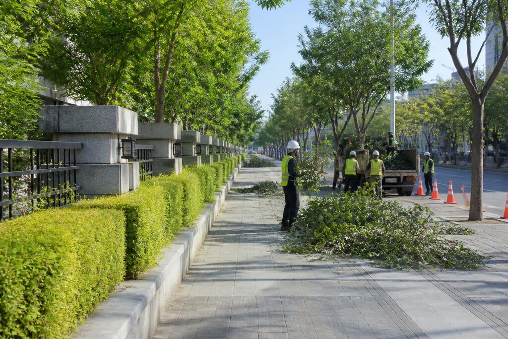 서울 구로구 나무 전지·전정 비용과 업체 비교 정보 이미지