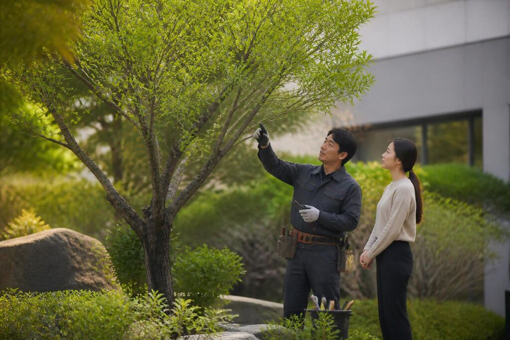 서울 금천구 나무 전지·전정 이미지
